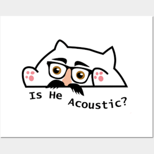 is he acoustic cat meme Posters and Art